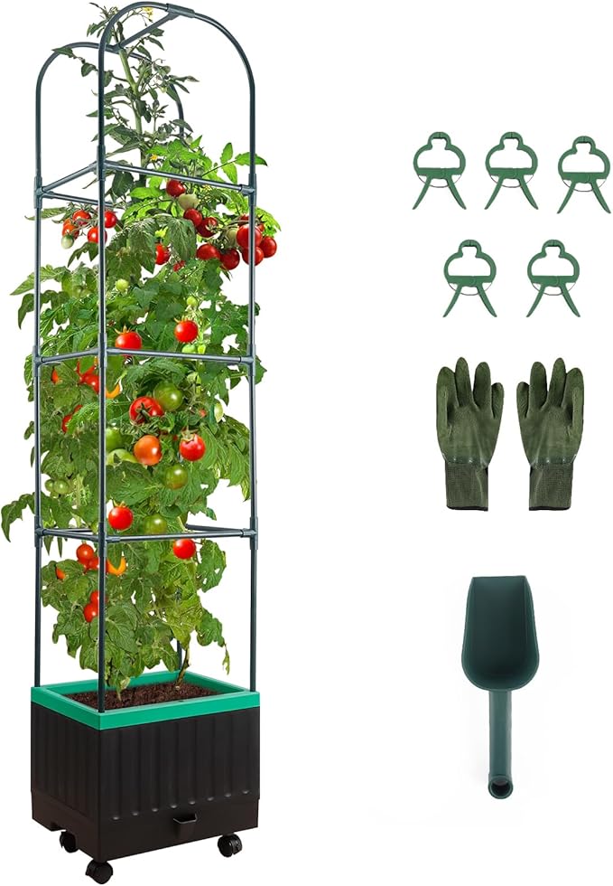 Yhtpouqe Raised Garden Bed with Self Watering Garden Pots, Planter Box with Trellis for Climbing Plants Vegetable Vine Flowers, Tomato Cage Planter for Indoor Outdoor Yard Greenhouse Use
