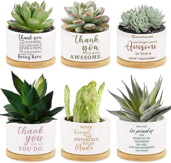 Tarklanda 6 Pcs Succulent Pots Thank You Gift Mini Ceramic Succulent Planters Pots with Bamboo Tray Succulent Pots Planters for Teacher Coworker Employee Nurse Friends Appreciation