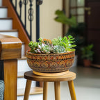 Eightpot Bonsai Pots 8 Inch - Ceramic Succulent Planters for Indoor Plants, Shallow Plant Pots with Drainage Hole and Saucer, Boho Round Planter Bowl, Office Decor, Brown