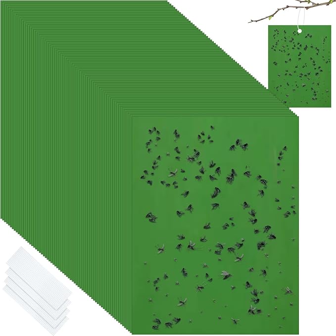 Qualirey 150 Pcs 6 x 8 Inch Sticky Traps for Plant Double Sided Sticky Trap for Gnats with Twist Ties Fly Traps for Fruit Insect Fungus Bugs Indoor Outdoor (Green)