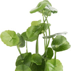 MyGift Artificial Plants Indoor, Set of 3 Small Fake Potted Plants, Faux House Plant for Home Decor