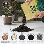 Rosy Soil Aroid Soil Potting Mix - Peat-Free, Microbially Active Biochar Powered Soil for Aroids - Superior Aeration & Drainage for Aroid Plants - Ideal for Indoor Gardening - 4 Quarts