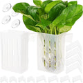 Borlech Upgraded Large Aquarium Plant Holder with Hooks and Suction Cups for Fish Tank Aquaponic Plant Cultivation and Aquascape Decorations (Semitransparent)