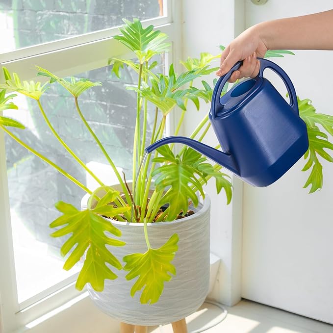 Fasmov Watering Can, 1/2 Gallon Plastic Watering Cans with Comfortable Handle, Small Garden Watering Cans Long Spout for Indoor Outdoor Watering Plants, Blue