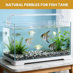 1/8 Inch Aquarium Gravel, Small Pebbles for Fish Tank & Indoor Plants, Natural Mini River Rocks for Succulent Soil Mix, Drainage, Terrarium & Vase Filler - Gray, 6 lb
