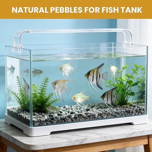 1/8 Inch Aquarium Gravel, Small Pebbles for Fish Tank & Indoor Plants, Natural Mini River Rocks for Succulent Soil Mix, Drainage, Terrarium & Vase Filler - Gray, 12 lb