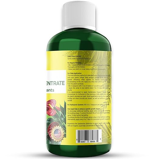 GARDENWISE Organic Premium Seaweed Anthurium Fertilizer - Liquid Kelp Plant Food - Nutrient-Rich Soil Enhancer (8 OZ)