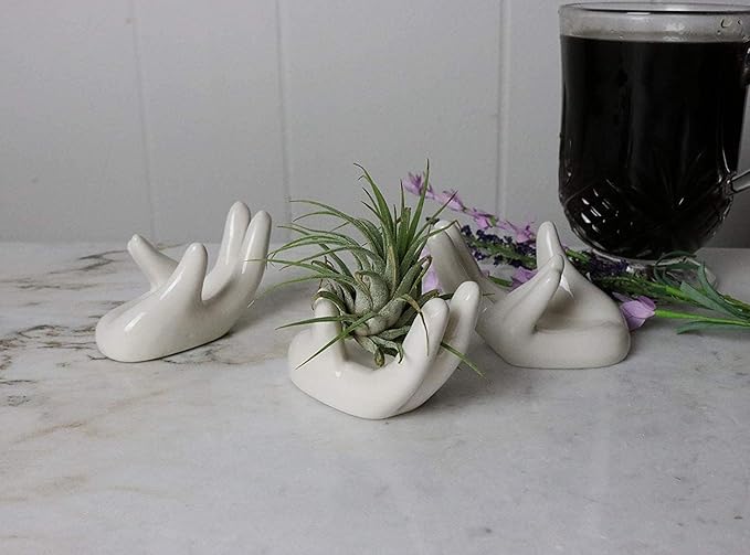 2 PCS Air Plant Holder Cute Ceramic Mini Hand Shape Stand Airplants Tillandsia Small Container Pot Plant Decorative Home Decor for Desk Table Shelf Window, White