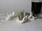 2 PCS Air Plant Holder Cute Ceramic Mini Hand Shape Stand Airplants Tillandsia Small Container Pot Plant Decorative Home Decor for Desk Table Shelf Window, White