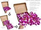 Miami Fresh Orchid Flower OrchidClub USA Sunne Tropical Loose Bloom DIY Lei Food Drink Decoration (50 YELLOW 50 PURPLE)