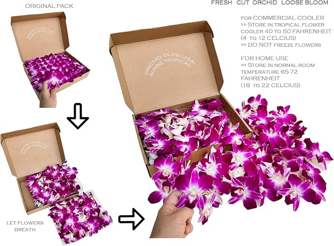 Miami Fresh Orchid Flower OrchidClub USA Sunne Tropical Loose Bloom DIY Lei Food Drink Decoration (50 BLUE 50 PURPLE)
