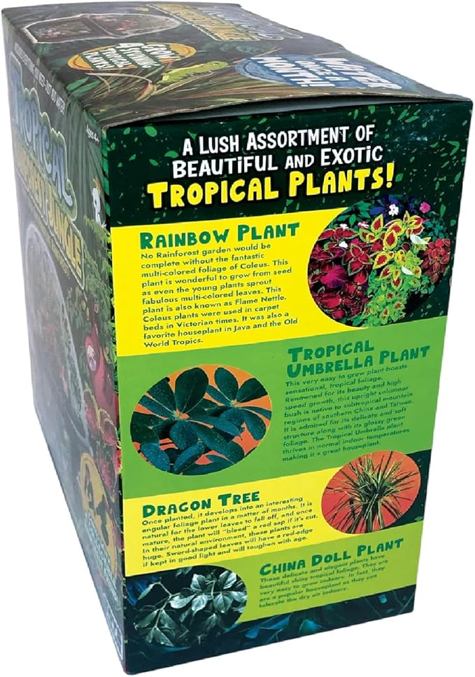 Toys by Biosphere Terrarium Starter Kit with Complete Supplies to Create Your Own Jungle! Indoor Plants for Home Displays and Gardens (Tropical Rainforest Jungle)