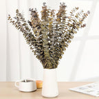 Tavkite 16 Pcs Dried Eucalyptus Stems, 17'' Natural Fresh Eucalyptus Leaves Branches Hanging for Shower, Preserved Real Yellow Plant Live for Home SPA Wall Bathroom Wedding Party Vase Decor