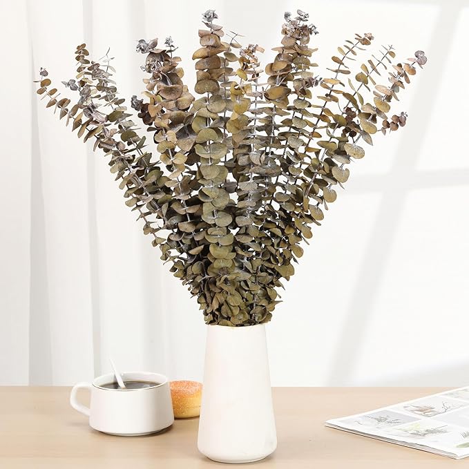 Tavkite 16 Pcs Dried Eucalyptus Stems, 17'' Natural Fresh Eucalyptus Leaves Branches Hanging for Shower, Preserved Real Yellow Plant Live for Home SPA Wall Bathroom Wedding Party Vase Decor