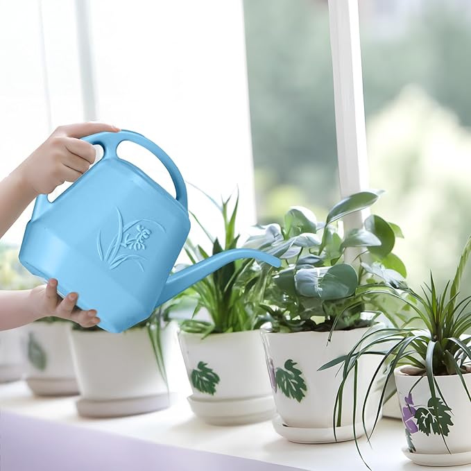 Plant Watering Can - 1/2 Gallon - Sky Blue