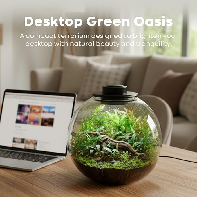 Desktop Glass Terrarium Bowl with Grow Light Adjustable(H:8" D:8"), for Succulent, Moss, Miniature Gardening Landscape, Betta Fish Tank, Indoor Plant Growth, Office Home Decoration, Lovers Gifts