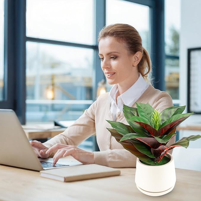 Realistic Artificial Potted Desk Plant Faux Calathea in Ceramic Pot, 8.7" Small Faux Greenery Fake Prayer Plant for Desk, Bathroom, Office, or Home Decor (Evergreen, Maintenance Free)