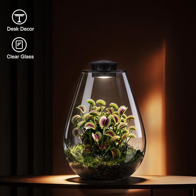 Glass Plant Terrarium with LED Grow Light, 7.8" Borosilicate Terrarium with Adjustable Ventilation & Timer, for Venus Fly Trap, Moss, Succulents, Mini Landscape, Desk Decor for Home Office