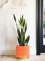 Gepege Peach Indoor Plant Pots for Plants, Large Ceramic Planter with Drainage Hole, 9.6-inch Succulent Orchid Flower Pot - Rainbow Pearl Glaze