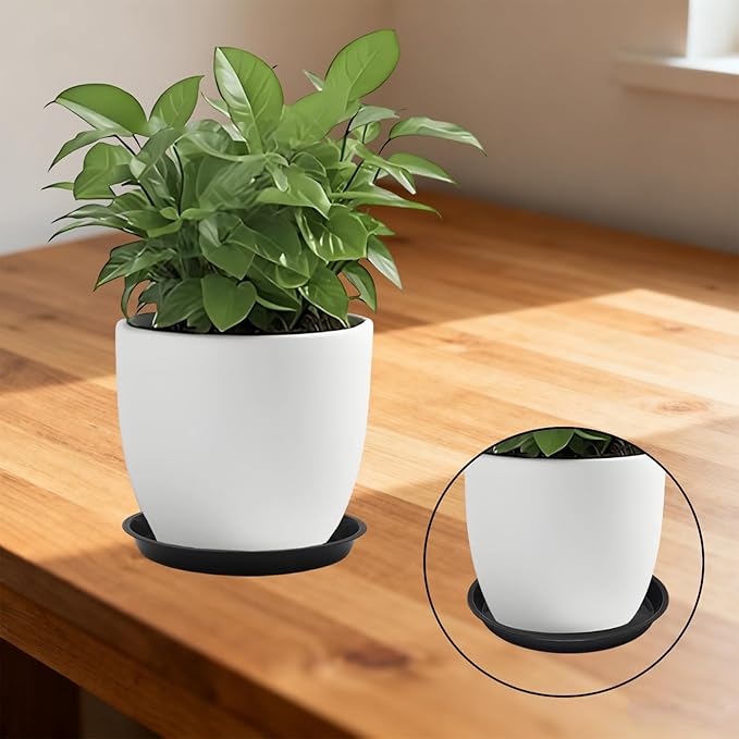 Round Plant Saucer 8 inch,6 Pack Pant Pot Trays, Plant Saucers for Indoors and Outdoors, Seed Starting Tray, Growing Trays,Black