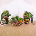 COTSEN 18 Pack Artificial Succulents Realistic Textured Fake Succulents Unpotted Artificial Cactus Plant Suitable for Garden Home Office Greening and Decoration