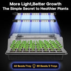 BlumWay Seed Starter Tray with Grow Light,2 Pack 80 Cells Seedling Tray Kit with Humidity Dome/Indoor Plant Starter Kit, Adjustable Brightness Plant Germination Trays-Black