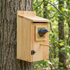 Bird Houses for Outside Clearance with Copper Guard, Pine Bird House Outdoor, Bluebird Finch Swallow Wren Chickadee No Assembly Required, 1 Pack