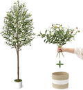 6FT Artificial Olive Tree - Indoor Tall Faux Olive Trees with Basket&3PCS 18Inch Olive Branches, Large Fake Olive Silk Tree Realistic Olive Plants for Home Decor Office Living