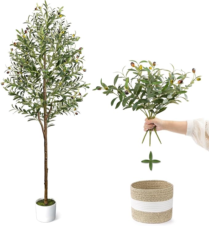 6FT Artificial Olive Tree - Indoor Tall Faux Olive Trees with Basket&3PCS 18Inch Olive Branches, Large Fake Olive Silk Tree Realistic Olive Plants for Home Decor Office Living