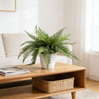 Artificial Fern Plant in Pot, 12'' Fake Desk Plant, Realistic Faux Greenery for Home Office Bathroom Shelf Décor, No Maintenance Indoor Plant (1 Pack)
