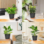 Vanslogreen Planters for Indoor Plants 7/6.5/6/5.5/5 Inch, Self Watering Flower Pots with Drainage Holes and Saucers 5 Pack Plastic Pots for Plants, Succulents, Herbs, Cactus, Flower, Black