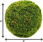 SuperMoss (21648) Moss Ball, Fresh Green, 4"
