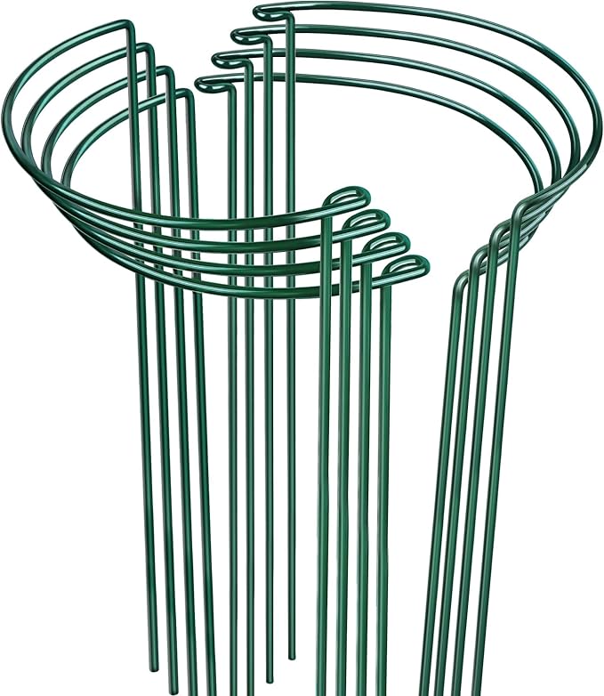 LEOBRO Plant Support, 8 PCS Peony Cages and Supports, Metal Plant Stakes, Plant Supports for Indoor Plants, Outdoor Plants, Monstera Hydrangea Support Cage, 10" W x 24" H