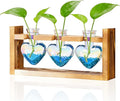 Nacome Plant Terrarium Propagation Stations: Mothers Day Gifts for Mom Plant Lovers Women Wife Daughter - 3 Bulb Glass Vase with Wooden Stand Tabletop for Hydroponics Home Garden Decor(Iridescent)