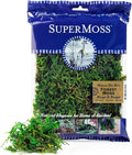 SuperMoss (25320) Forest Moss Preserved, Fresh Green, 2oz
