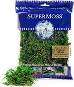 SuperMoss (25320) Forest Moss Preserved, Fresh Green, 2oz