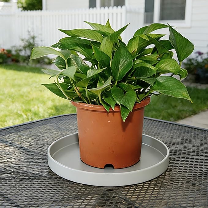1 Pack 12 inch Plant Saucer Drip Tray, Heavy Sturdy Plastic Planter Flower Pot Drainage Tray Plate Saucers for Indoor Outdoor Garden, Plant Water Drip Trays for pots Base (12", Gray)