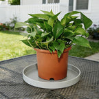 1 Pack 12 inch Plant Saucer Drip Tray, Heavy Sturdy Plastic Planter Flower Pot Drainage Tray Plate Saucers for Indoor Outdoor Garden, Plant Water Drip Trays for pots Base (12", Gray)