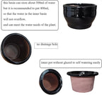 African Violet Pots Self Watering Round Ceramic Violet Pot (Black, 6 inch)