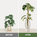 4 Pack Moss Pole 63 Inch Monstera Plant Support Moss Poles Bendable for Climbing Plants Longer Coco Coir Sticks Support Stakes Tall for Indoor Creeper DIY Shape Plants Grow Upwards