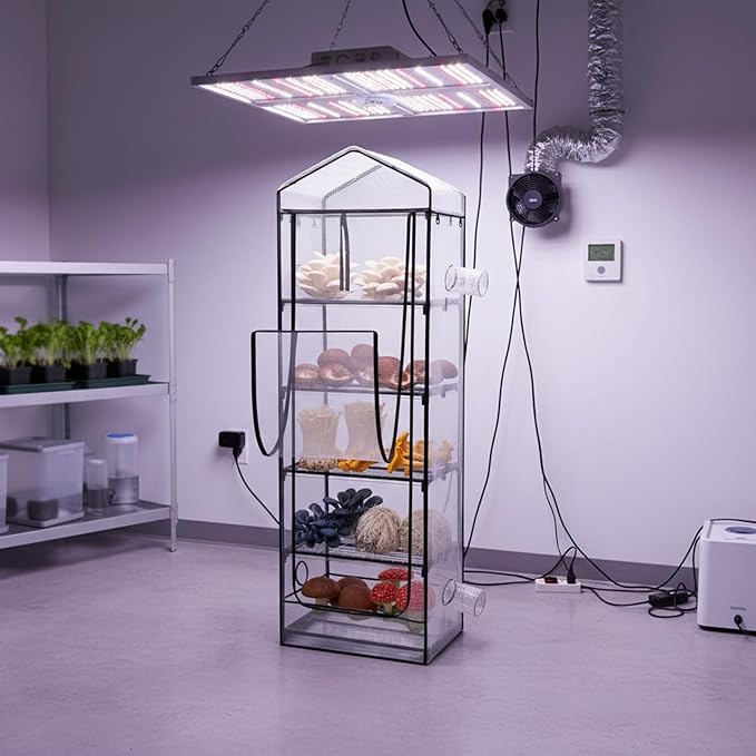 Windyun 5 Tier Extra Tall Mushroom Grow Tent Kit with Light & Timer, 80 x 19 x 27 Inch & 6500k Greenhouse with LED Grow Light, 4" Vents & Built in Humidifier Ports for Indoor Outdoor Mushroom Tent