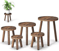 5-Pack Wood Plant Stands Indoor, Single Plant Stand for 6-12 Inch Pots, Mid-Century Modern Plant Stool, Tall Plant Stand for Large Plants for Living Room, Balcony, Office (Dark Brown)
