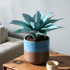 Ttranewsoo Fake Plants Artificial Agave Plants 13.8" Large UV Resistant Fake Agave Planters for Indoor and Outdoor Decorating Tropical Plant Succulents Greenery Indoor Decor (Blue) 2Pack