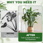16pcs Upgraded Plant Stem Support, Transparent Plant Support for Indoor Plants, 4 Sizes Climbing Houseplant Stem Holders, Reusable Plant Stabilizer, Indoor Plants Accessories