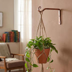 FEED GARDEN 2 Pack 10 Inch Hanging Plant Bracket Wall Hooks Decorative Plant Hangers for Outdoor Hanging Bird Feeders, Wind Chimes, Plant Baskets, Antique Bronze
