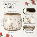 2 Pcs Vintage Planter Ceramic Plants Pot with Drainage Ice Crack Scroll Flower Vase Pot for Indoor Outdoor Plants Home Kitchen Decor Gifts(Rustic Rose,5.9")