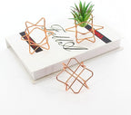 5Pcs Metal Air Plants Hanging Holders and Stands Set (2 Wall Hangers with Chains + 3 Table Stands), Rose Gold Geometric Home Decor for Windows/Wedding, 2.75 Inch Rust-Resistant Display Rack
