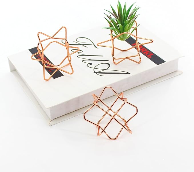 5Pcs Metal Air Plants Hanging Holders and Stands Set (2 Wall Hangers with Chains + 3 Table Stands), Rose Gold Geometric Home Decor for Windows/Wedding, 2.75 Inch Rust-Resistant Display Rack