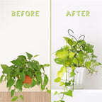 2 Pcs Metal Leaf Shape Garden Trellis for Climbing Plant, Potted Plants, Mini Plants, Indoor Plants Trellis, Home Plant Tool, Plant Lover Gifts Ideas for Garden Potted, Hoya, Pothos, Flower, Monstera