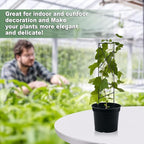 17.5 Inch Indoor Plant Trellis for Climbing Plants,Metal Trellis,Small Garden Trellis for Potted Plants,Plant Stakes for Indoor Plants Accessories Hoya,Flower,Plant Support (Star-Metal)